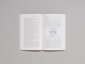 Mysterious Letters: Language, Science, and the Voynich Manuscript