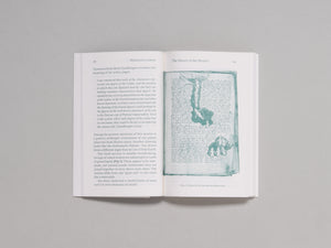 Mysterious Letters: Language, Science, and the Voynich Manuscript