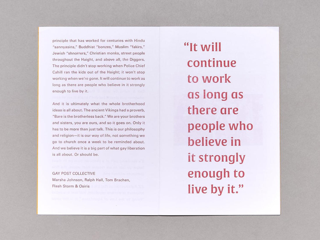 Pinko Zine - Antenne Books