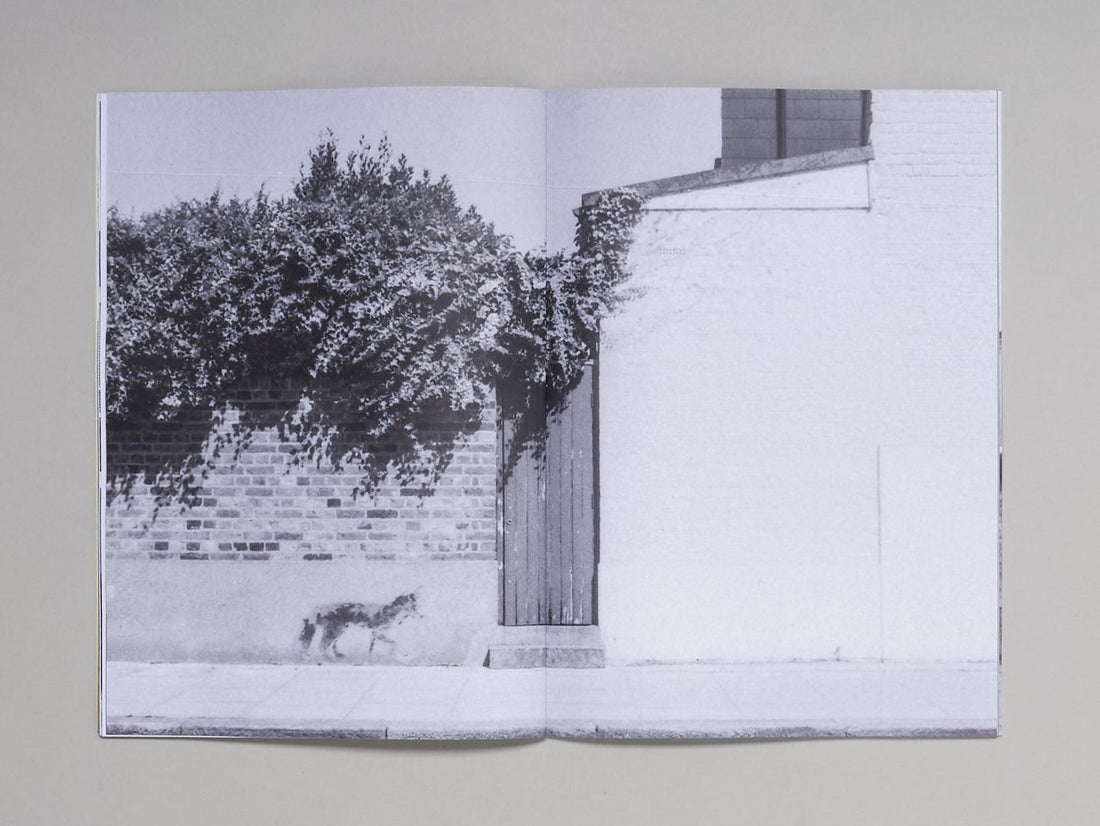 RÜDO #02 - Antenne Books