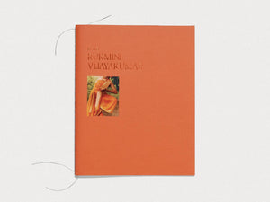 RAYS: Rukmini Vijayakumar - Antenne Books