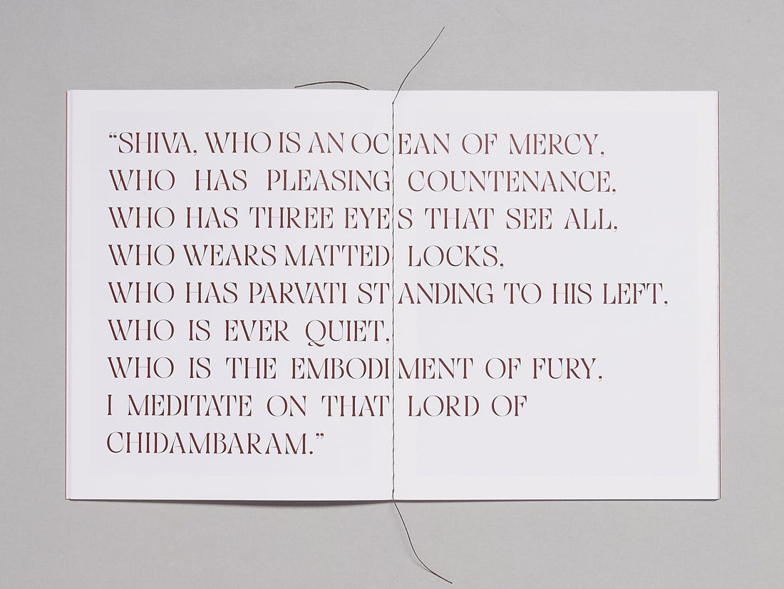 RAYS: Rukmini Vijayakumar - Antenne Books