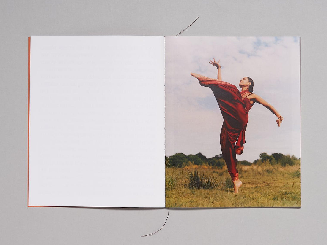 RAYS: Rukmini Vijayakumar - Antenne Books