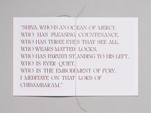 RAYS: Rukmini Vijayakumar - Antenne Books