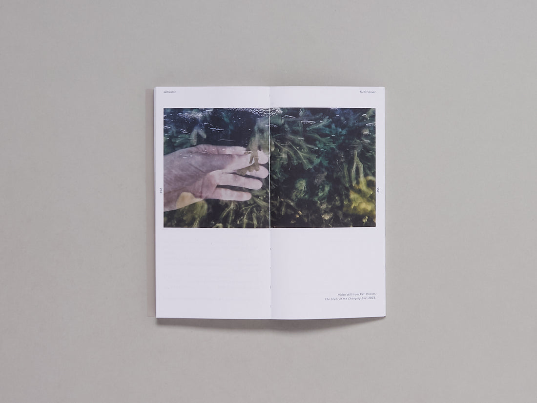 Aquatic Encounters. A glossary of hydrofeminisms