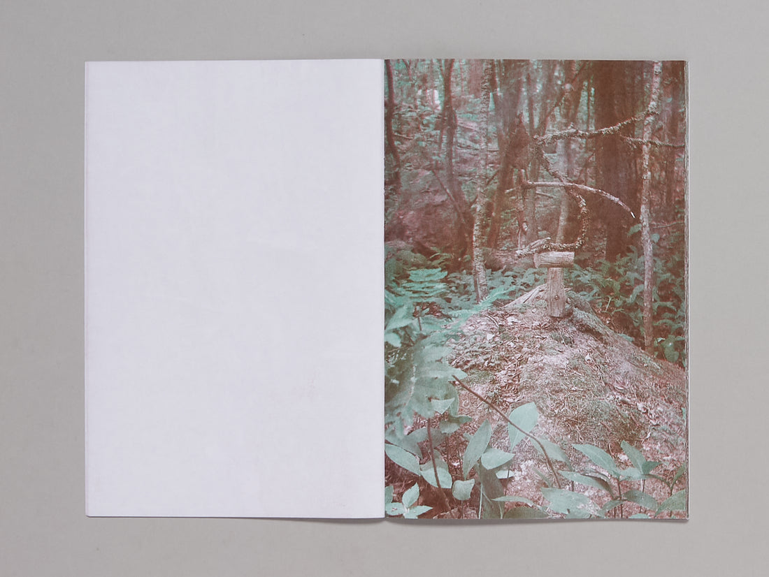 21 Monumental Sculptures for Insects