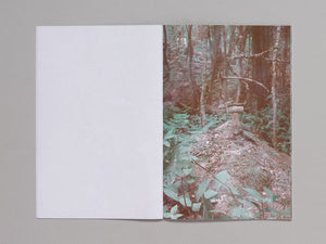 21 Monumental Sculptures for Insects