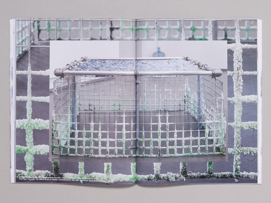 Filter Feeders, Double Binds & Other Blooms - Antenne Books