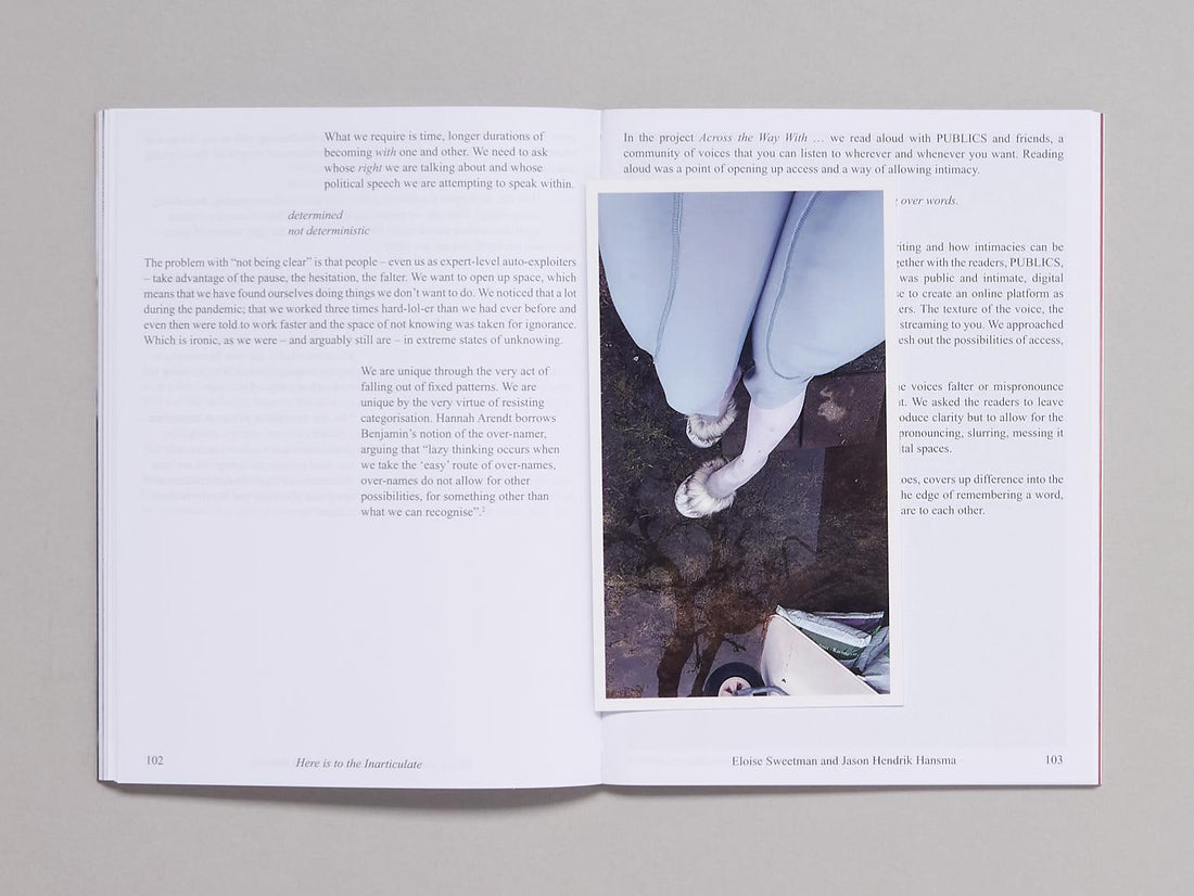 The Voice that Remains - Antenne Books