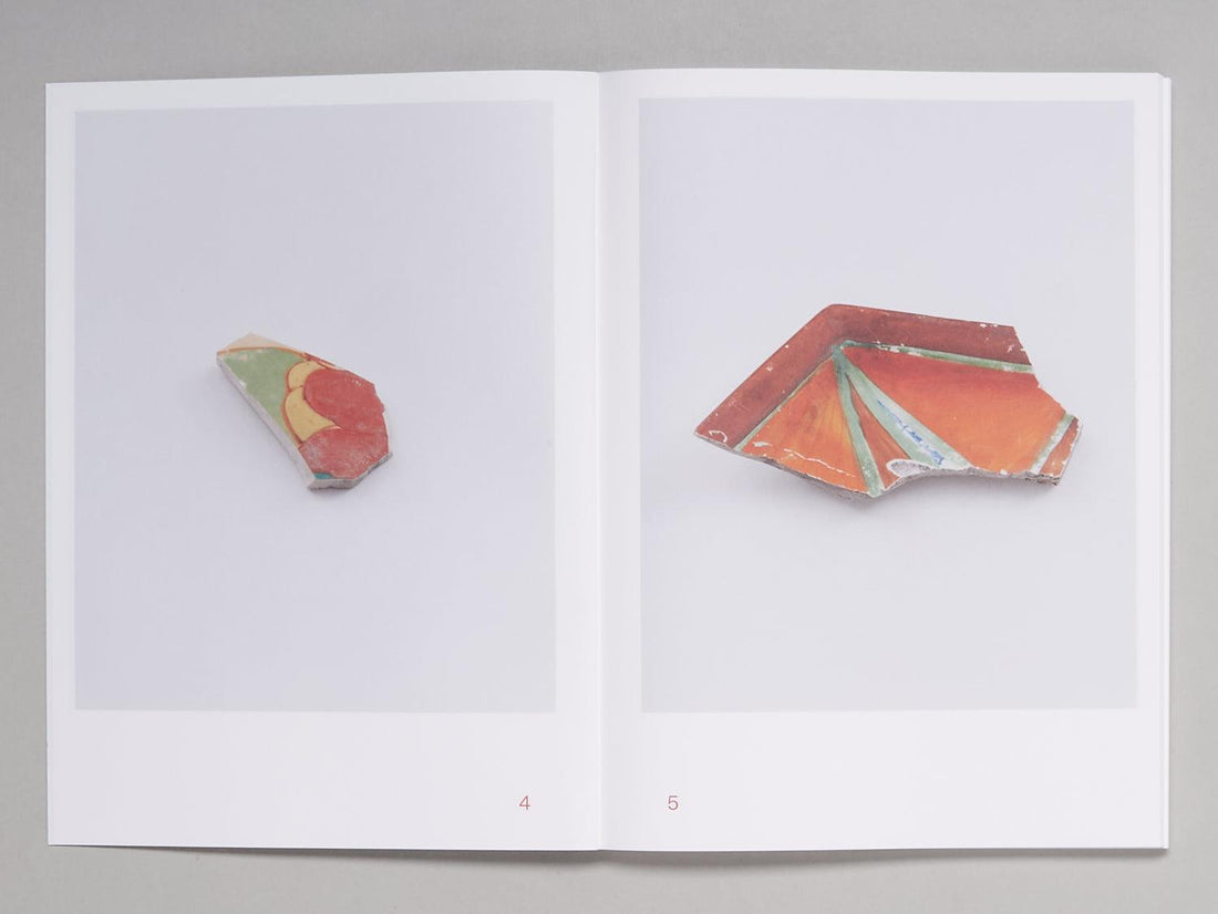 Shards - Antenne Books