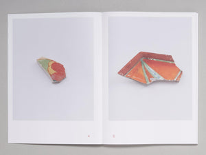 Shards - Antenne Books