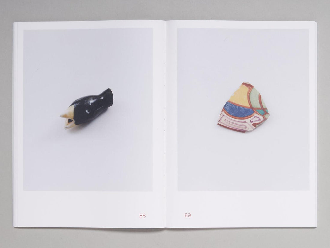 Shards - Antenne Books