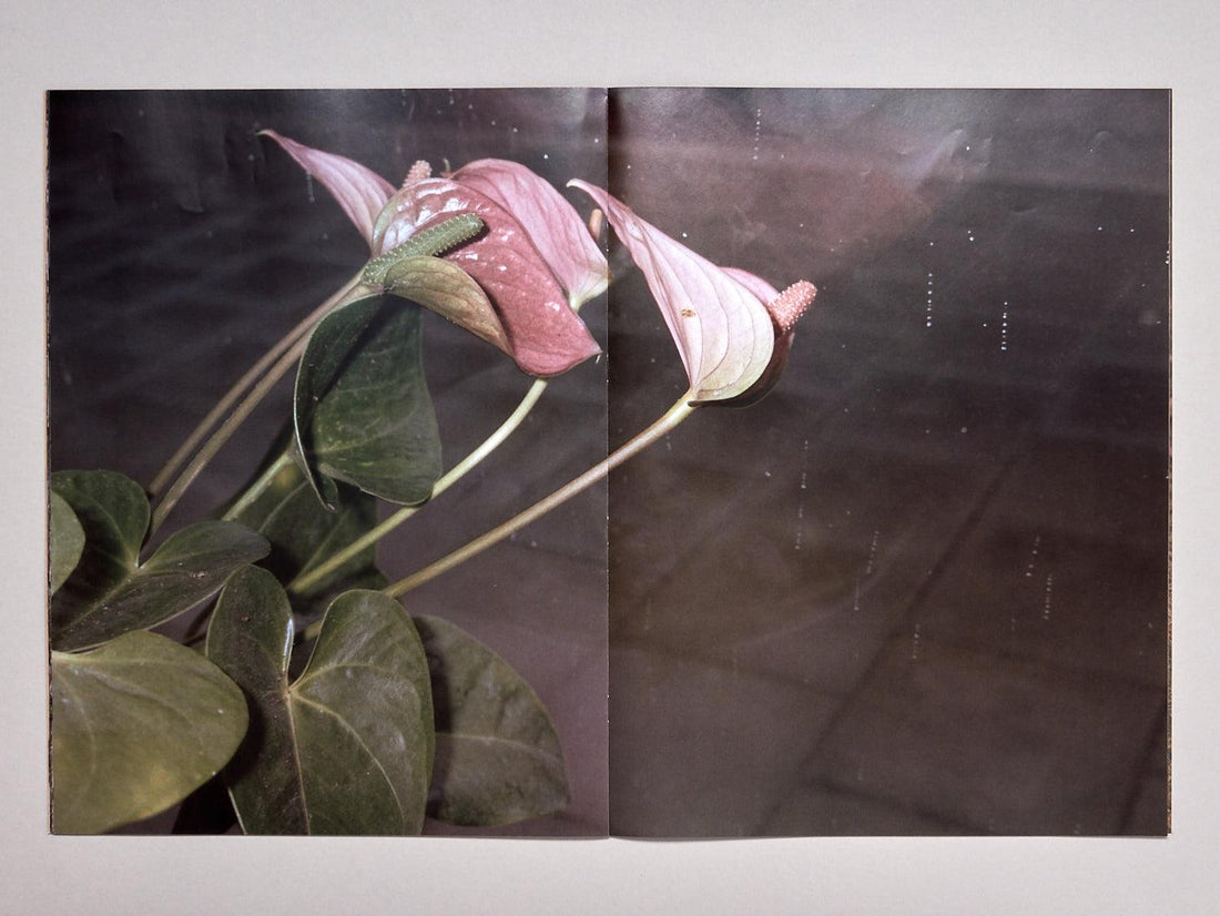 Green - Antenne Books