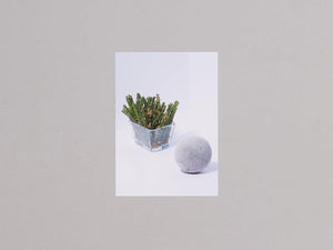 saji Ostumami 01 Soy sauce - Antenne Books