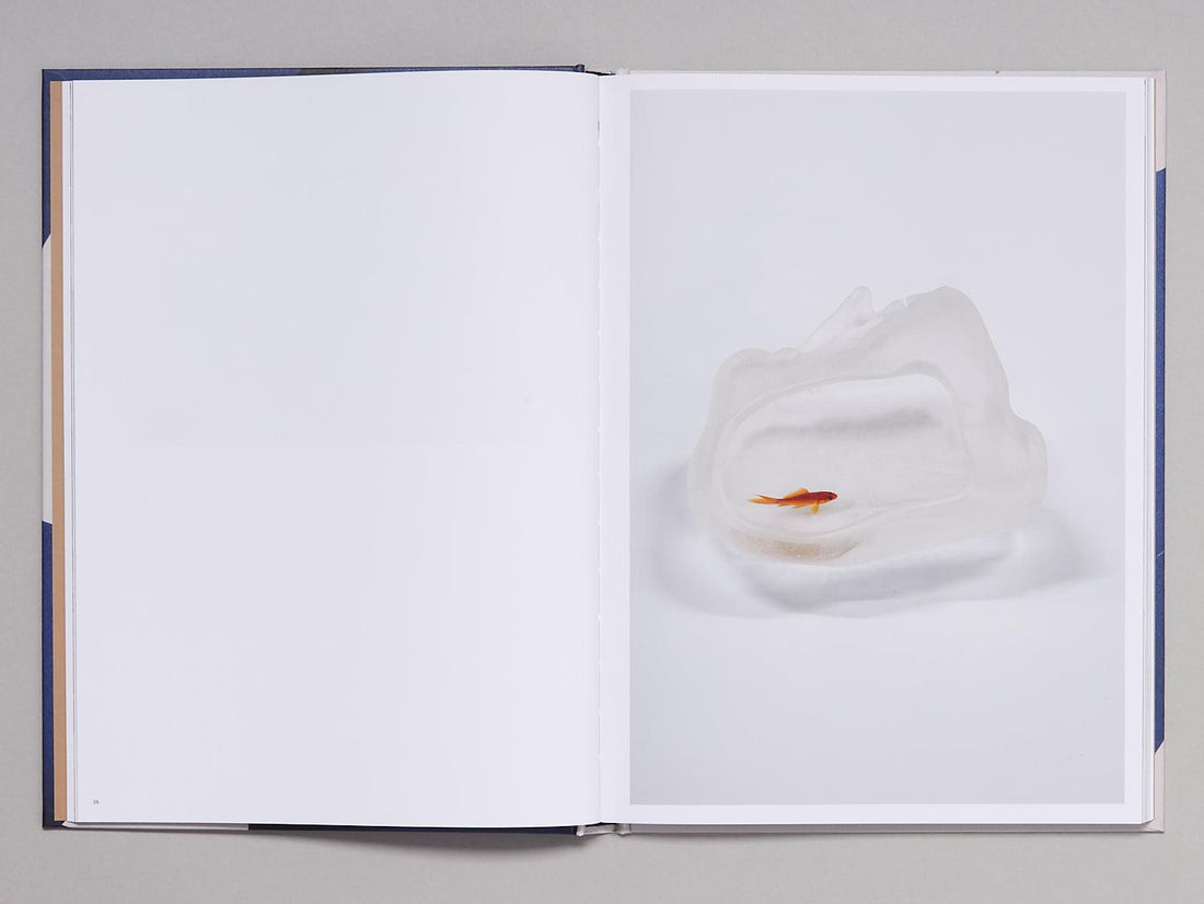 Jesse Wine: Sculpture - Antenne Books