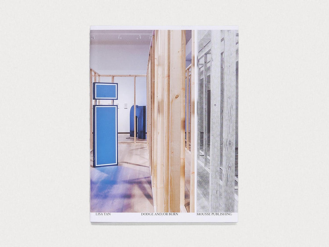 Lisa Tan: Dodge and/or Burn - Antenne Books