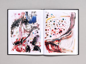 TWENTY TWENTY A Year in Pictures - Antenne Books