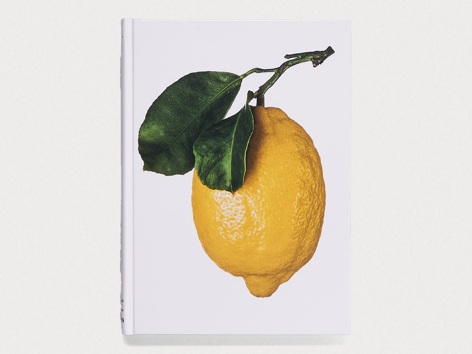 The Gourmand's Lemon – Antenne Books