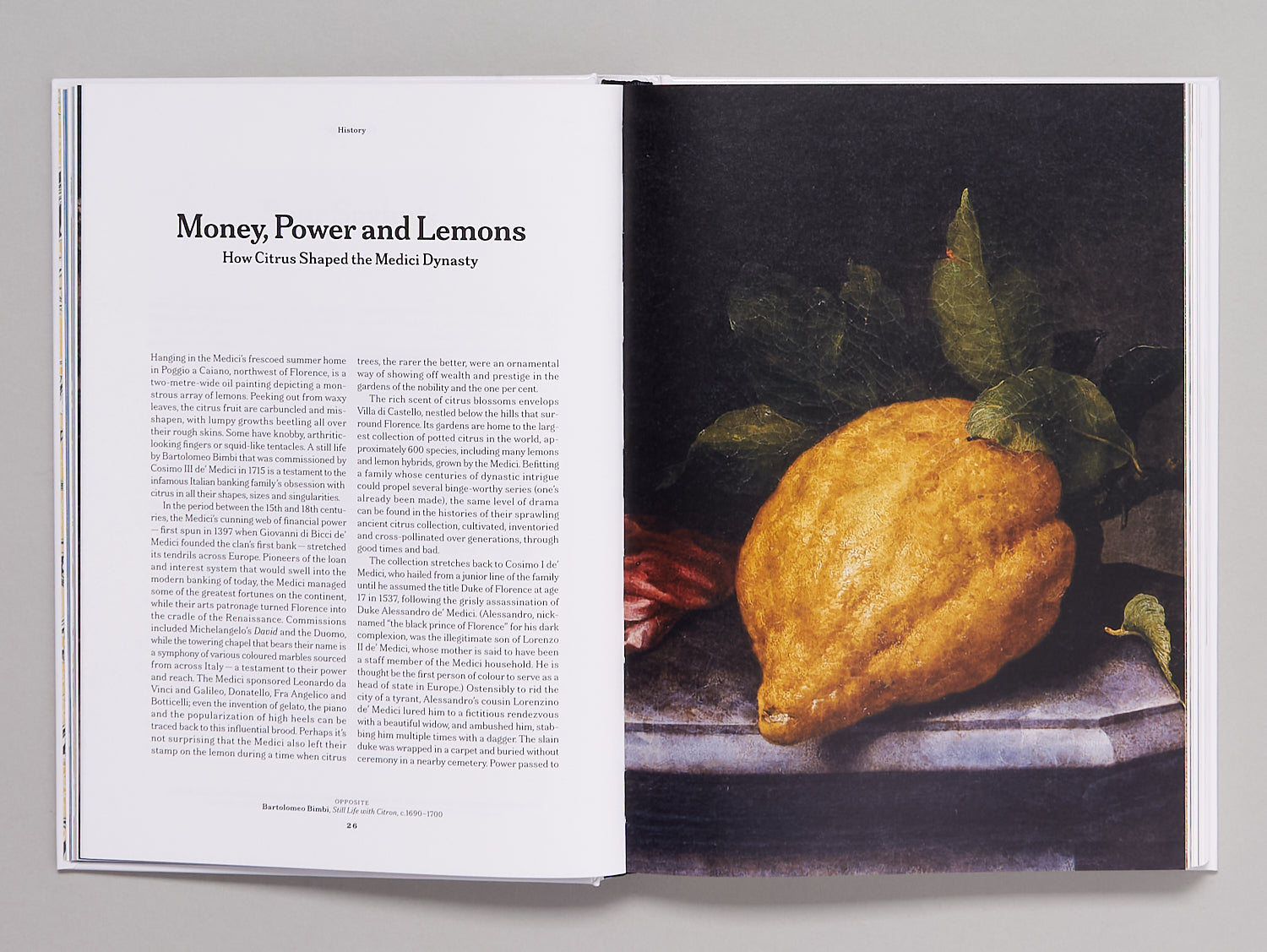 The Gourmand's Lemon – Antenne Books