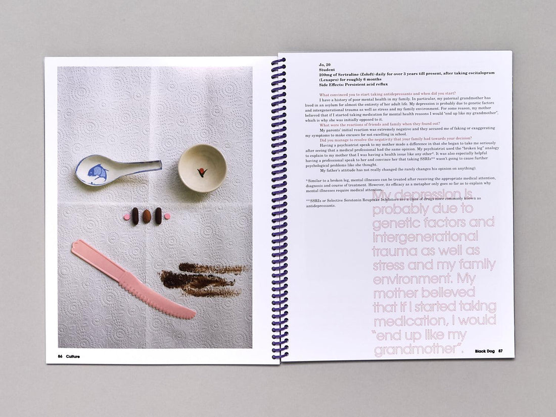 Magazine for Young Girls 02 “Adulting” - Antenne Books