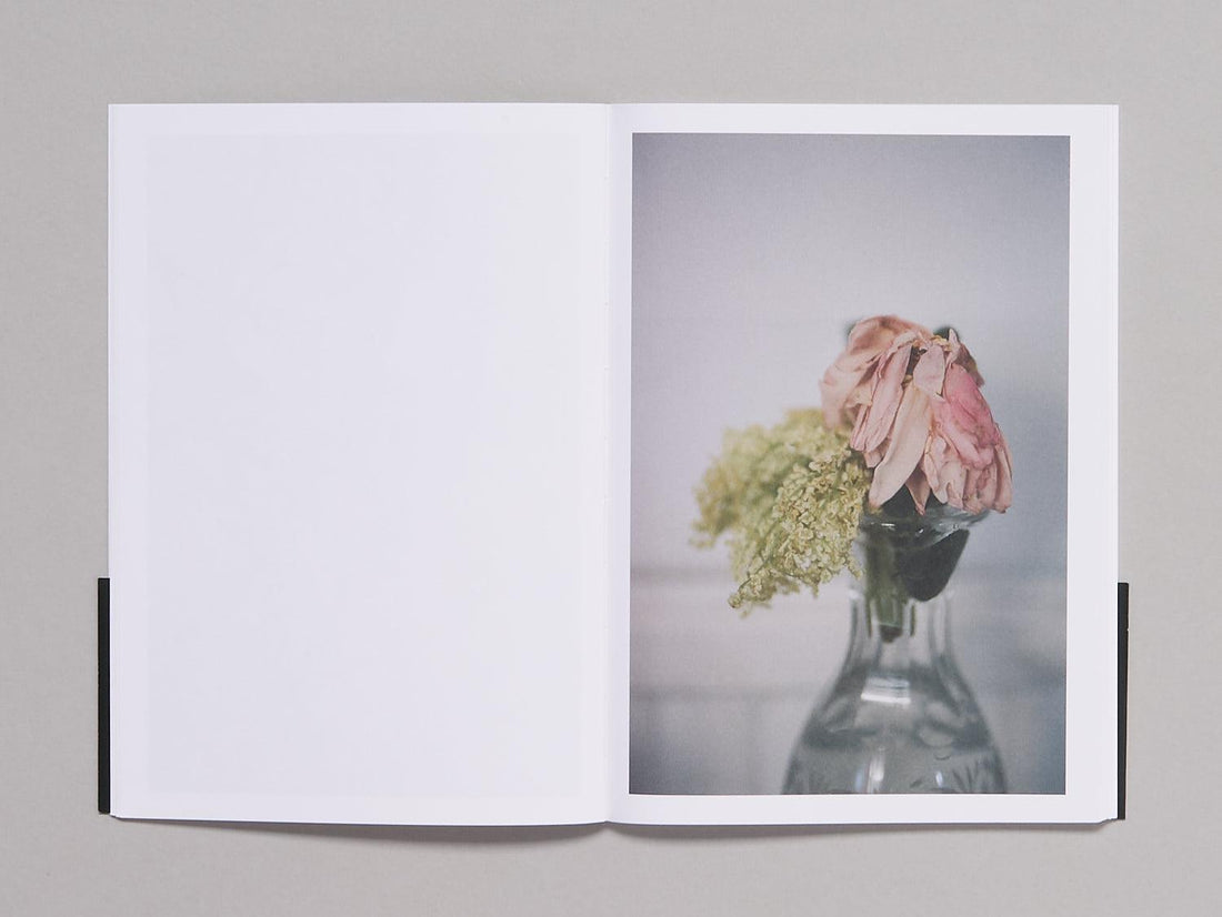 Book 12 - Antenne Books