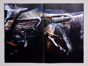 CRASH - Antenne Books