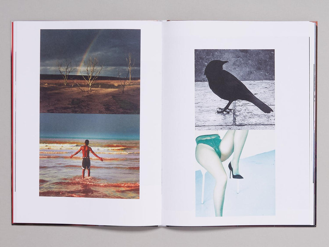 Impermanence - Antenne Books