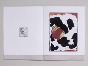 Resin Paintings - Antenne Books