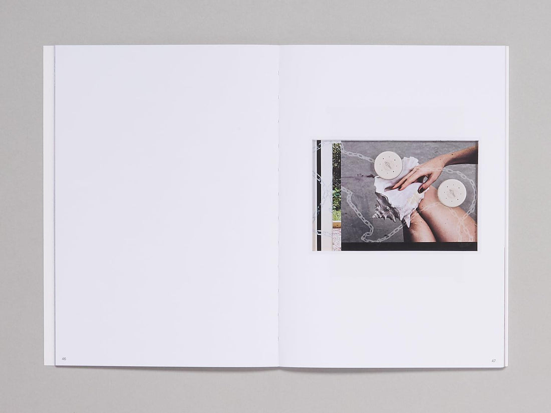 Michele Abeles: Zebra - Antenne Books