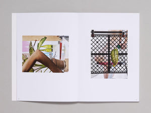 Michele Abeles: Zebra - Antenne Books