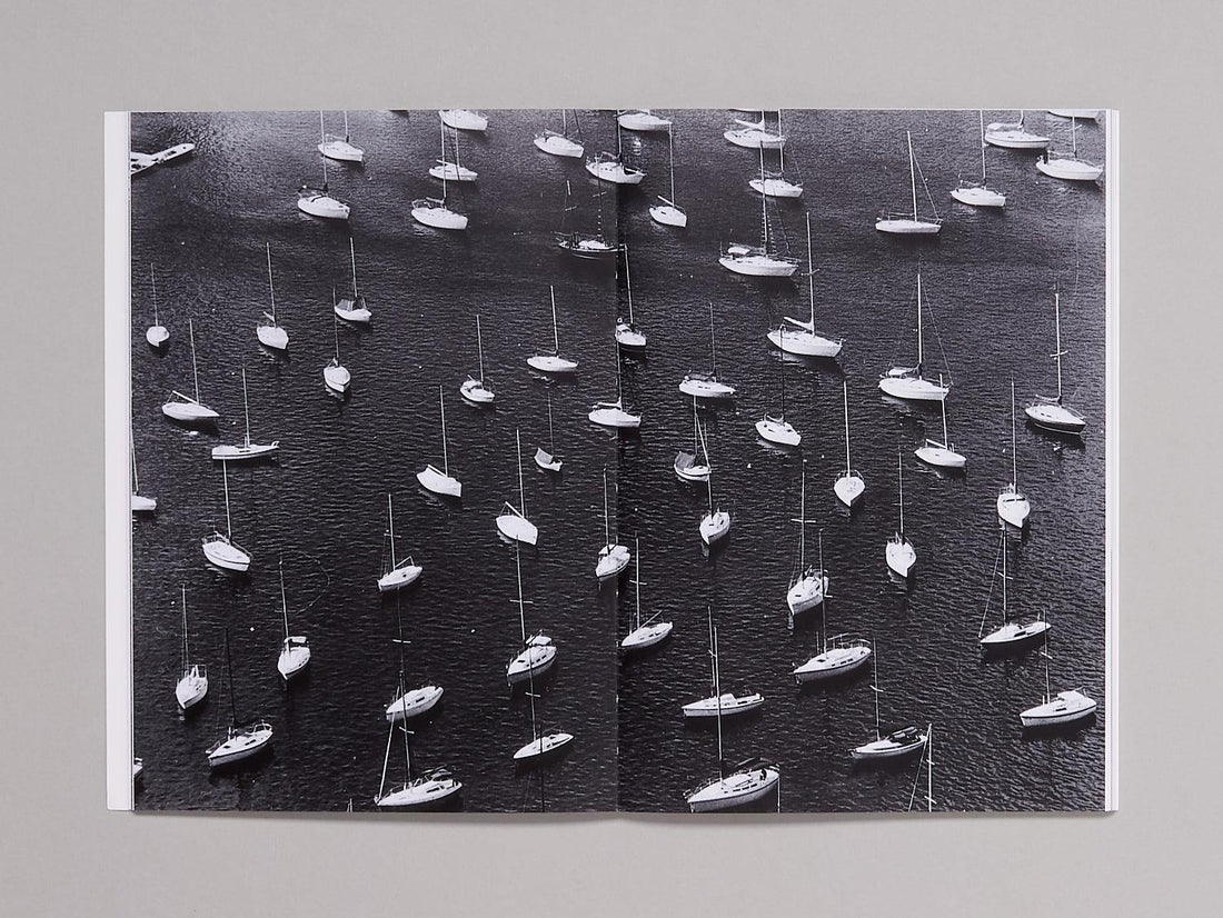 Michele Abeles: Zebra - Antenne Books