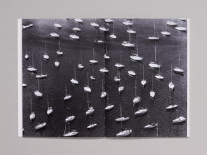 Michele Abeles: Zebra - Antenne Books