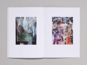 Michele Abeles: Zebra - Antenne Books