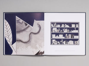 David Korty: Blue Shelves - Antenne Books