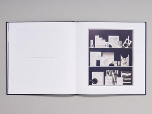 David Korty: Blue Shelves - Antenne Books