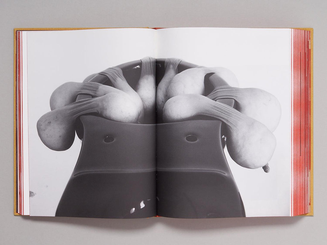 TITTIPUSSIDAD - Antenne Books