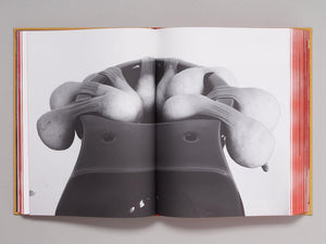 TITTIPUSSIDAD - Antenne Books