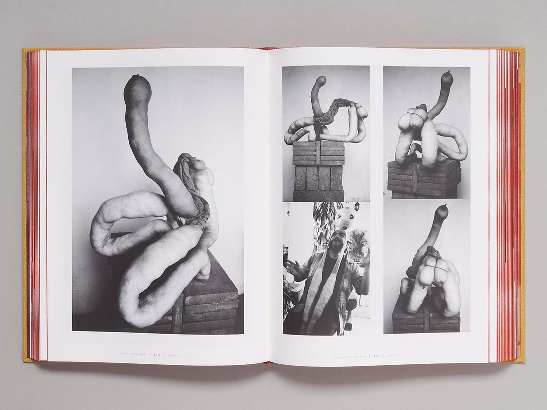 TITTIPUSSIDAD - Antenne Books