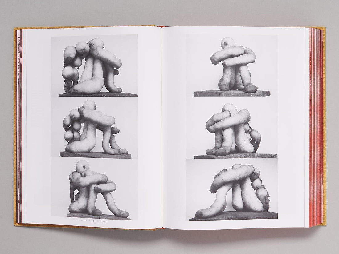 TITTIPUSSIDAD - Antenne Books