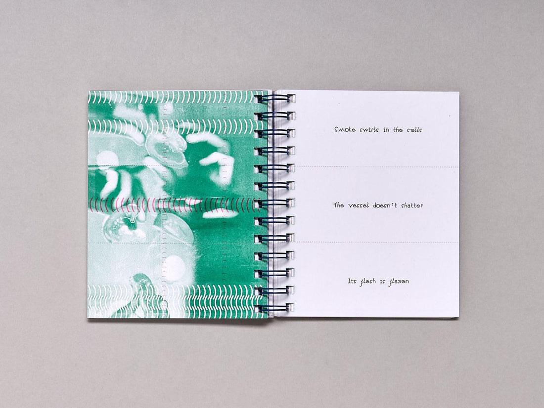 Haiku Sandwiches - Antenne Books