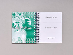 Haiku Sandwiches - Antenne Books