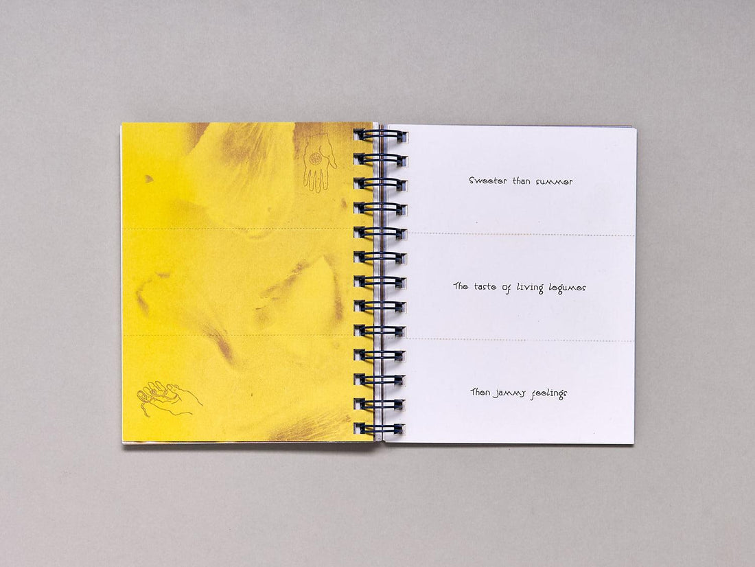 Haiku Sandwiches - Antenne Books