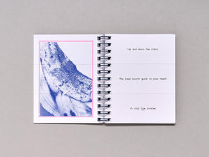 Haiku Sandwiches - Antenne Books