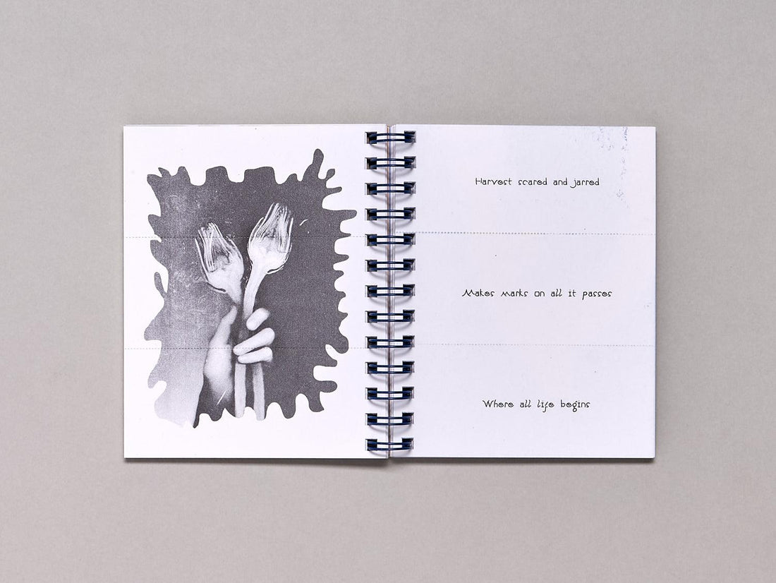 Haiku Sandwiches - Antenne Books