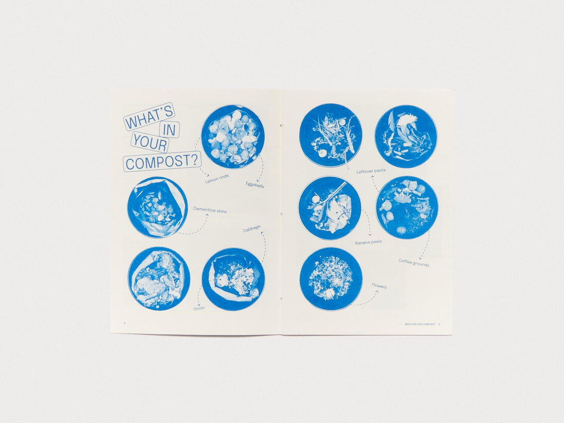 Seedlin - Antenne Books