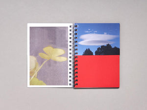 Cinco Elementos - Antenne Books