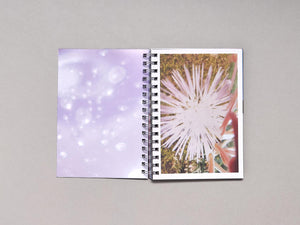 Cinco Elementos - Antenne Books