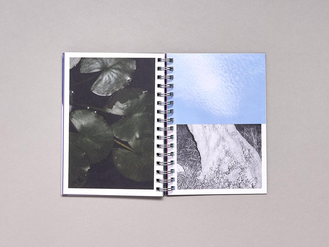 Cinco Elementos - Antenne Books