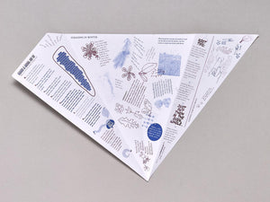 Irregular Vegetable (ROOTS) - Antenne Books