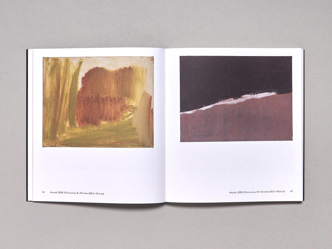 PETER SHEAR: ACCIDENT REPORT - Antenne Books